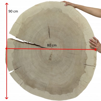 PLASTER DREWNA TOPOLI BLAT NA STOLIK KAWOWY 150146