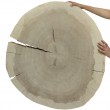 PLASTER DREWNA TOPOLI BLAT NA STOLIK KAWOWY 150146
