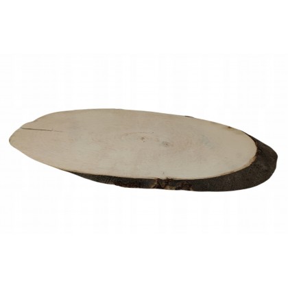 PLASTER DREWNA BUK DŁ 50-55 CM TACA OZDOBNA