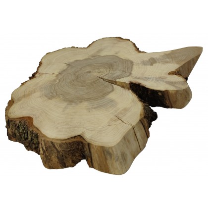 Plaster Wiązu dł. 73 cm/gr.6 cm / Szlif z Korą / Unikat 093532