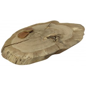 DĘBOWY BLAT NA STÓŁ PLASTER DREWNA 68 cm nr130313