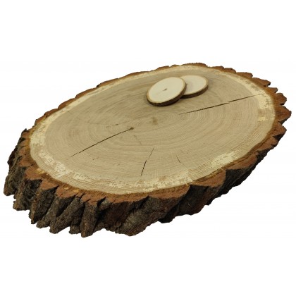 DĘBOWY BLAT NA STÓŁ PLASTER DREWNA  60 cm nr 101740