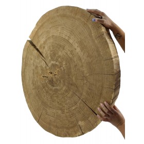 DĘBOWY BLAT NA STÓŁ PLASTER DREWNA 86 cm nr114351