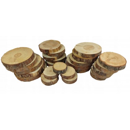 Plastry drewna zestaw 25 szt 6-16 cm Iglaste