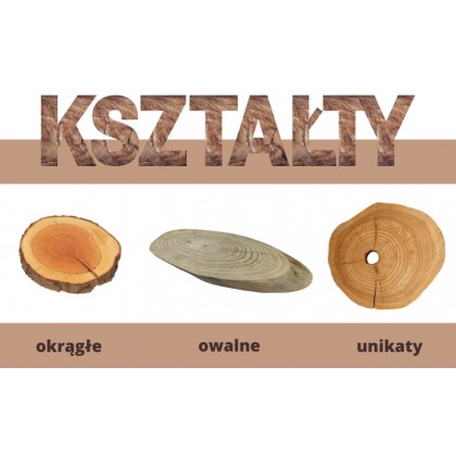 DĘBOWY BLAT STOŁU PLASTER DREWNA DŁ 101cm nr104254