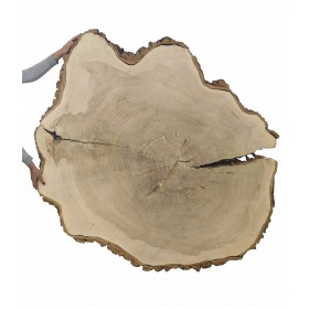 OGROMNY DREWNIANY BLAT NA STÓŁ PLASTER NR 113939