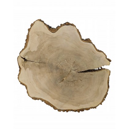OGROMNY DREWNIANY BLAT NA STÓŁ PLASTER NR 113939