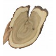 PLASTER DREWNA CZEREMCHY DESKA DIY NR 112648