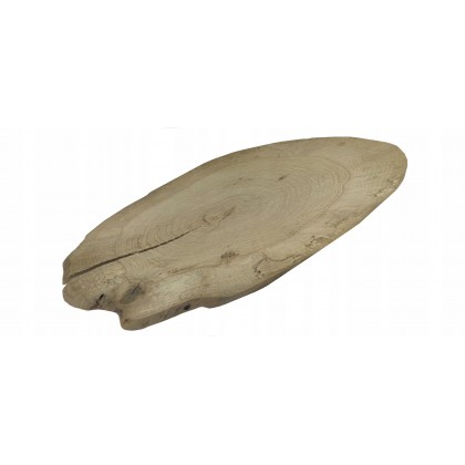 PLASTER DREWNA DĄB DŁ 45-50 CM TACA OZDOBNA