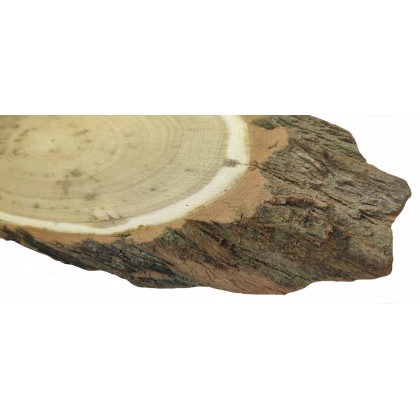 PLASTER DREWNA AKACJA DŁ 40-45 CM TACA OZDOBNA