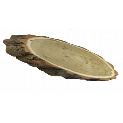 PLASTER DREWNA AKACJA DŁ 40-45 CM TACA OZDOBNA
