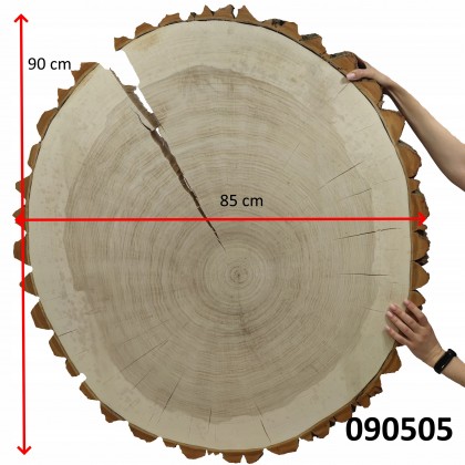 PLASTER DREWNA TOPOLI BLAT NA STOLIK KAWOWY 090505