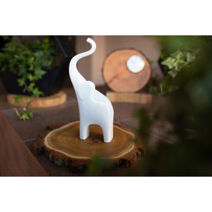 PLASTER DREWNA AKACJA DŁ 30-35 CM TACA OZDOBNA