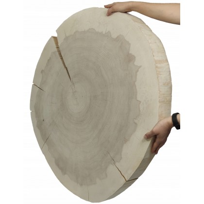 PLASTER DREWNA TOPOLI BLAT NA STOLIK KAWOWY 145011