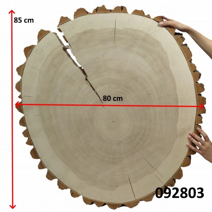 PLASTER DREWNA TOPOLI BLAT NA STOLIK KAWOWY 092803