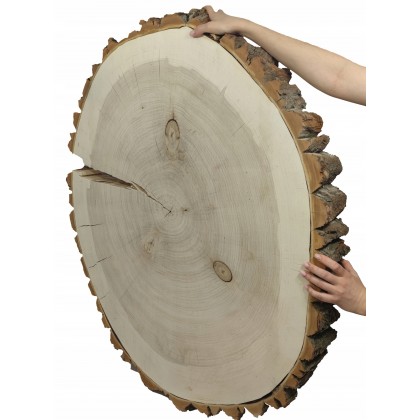 PLASTER DREWNA TOPOLI BLAT NA STOLIK KAWOWY 092151