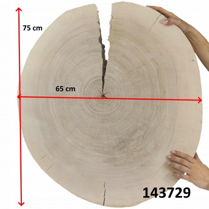 PLASTER DREWNA TOPOLI BLAT UNIKAT 143729