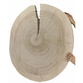 PLASTER DREWNA TOPOLI BLAT UNIKAT 142920