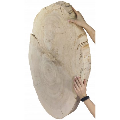 PLASTER DREWNA TOPOLI BLAT UNIKAT 143337