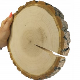 PLASTER DREWNA TOPOLA 20-25cm gr 3,0cm