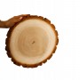 PLASTER DREWNA UNIKAT 35-40 cm Z KORĄ 135417