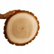 PLASTER DREWNA UNIKAT 35-40 cm Z KORĄ 135417