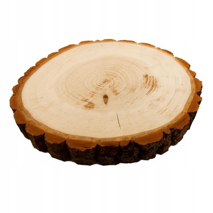 PLASTER DREWNA UNIKAT 35-40 cm Z KORĄ 135417