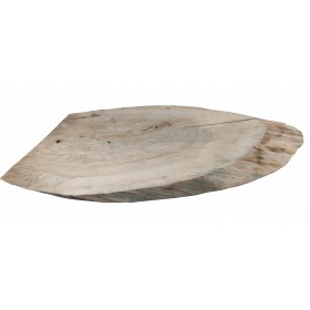 Duży Plaster Drewna Topoli blat 141755 dł 103 cm