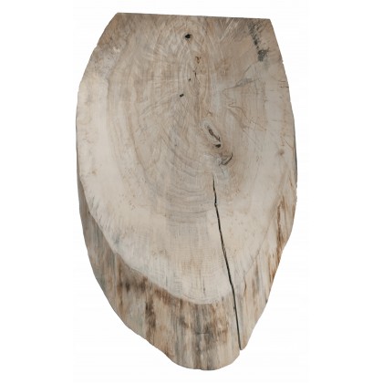 Duży Plaster Drewna Topoli blat 141755 dł 103 cm
