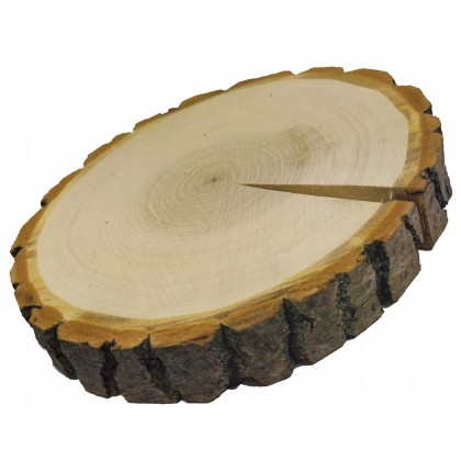 PLASTER DREWNA 25-30 cm krążek drewniany z korą