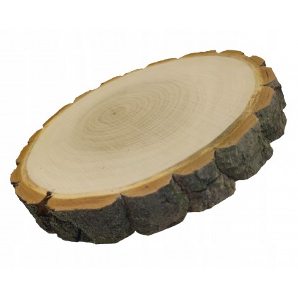 PLASTER DREWNA 25-30 cm krążek drewniany z korą